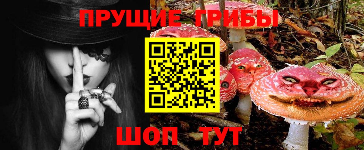 Псилоцибиновые грибы Cubensis Егорьевск